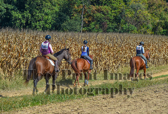 CheshirePonyClubPC(10-6-24)0661