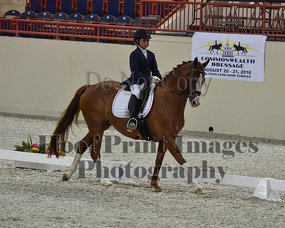 CWdressageII(8-21-16)2029