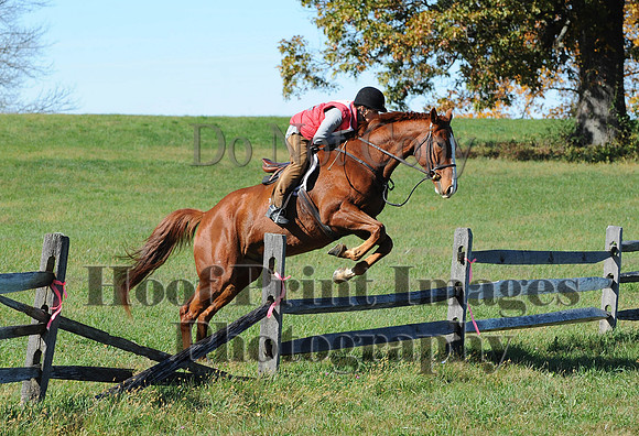 Cheshire(10-19-14)0264