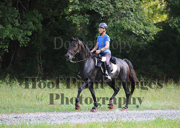 ChesapeakeCTR(9-20-14)0335