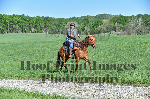 ChesapeakeSpring(4-27-25)0352