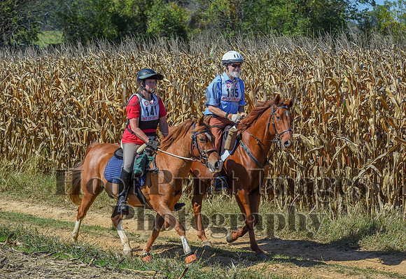 CheshirePonyClubPC(10-6-24)0641