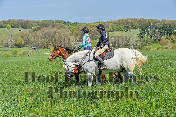 CheshireSpringPC1(4-28-24)0052
