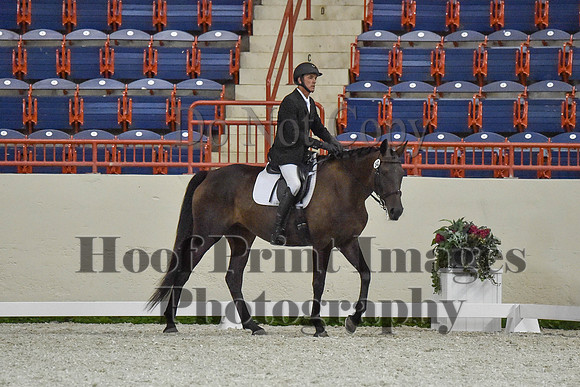 CWdressageI(8-20-16)1240