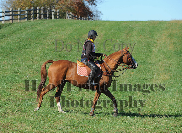 Cheshire(10-19-14)0419