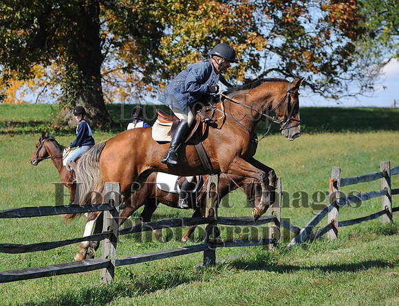 Cheshire(10-20-13)0337