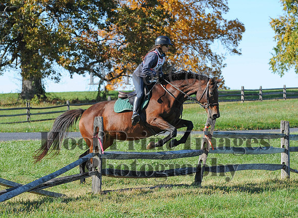 Cheshire(10-19-14)0339