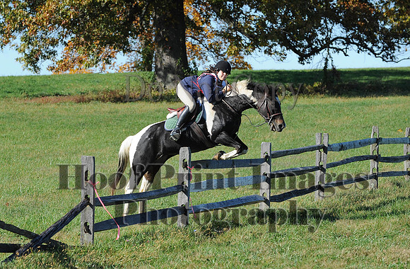 Cheshire(10-19-14)0498