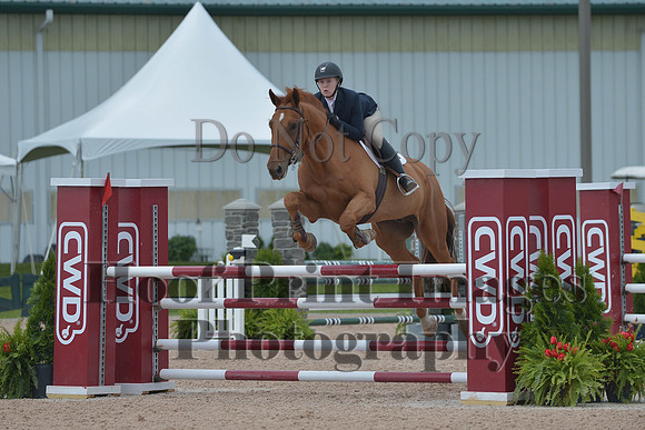 BRSa(5-17-14)HChAdJ0148