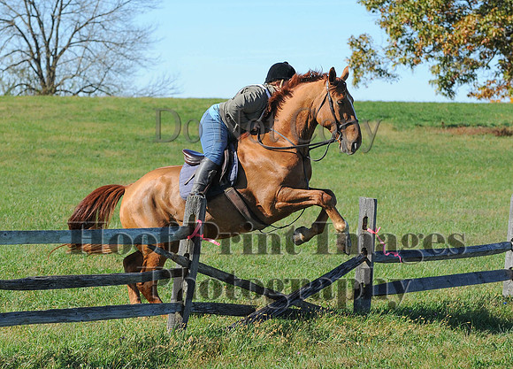 Cheshire(10-19-14)0312