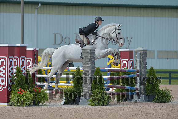 BRSa(5-17-14)HChAdJ0035
