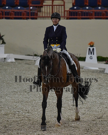 CWdressageII(8-21-16)0755