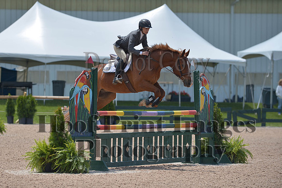 BRSa(5-17-14)HChAdJ0266