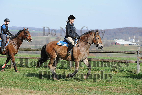 AndrewsBr(11-9-14)0217