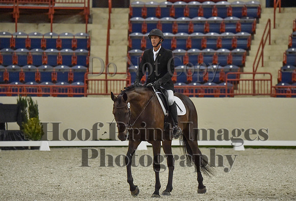CWdressageI(8-20-16)0662