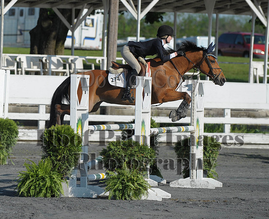 StCSu(5-12-13)PJmp0029