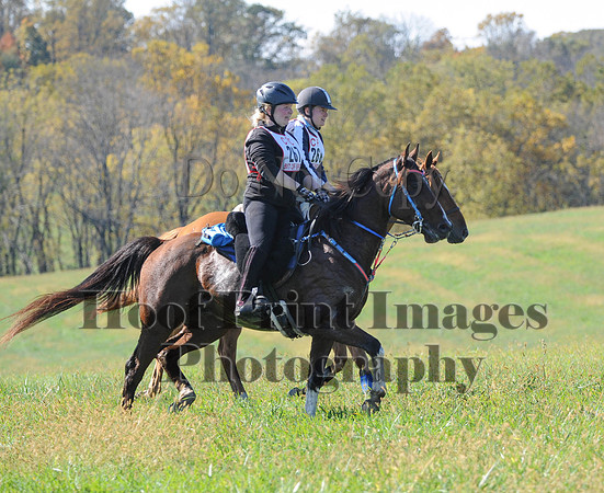 Cheshire(10-20-13)0328