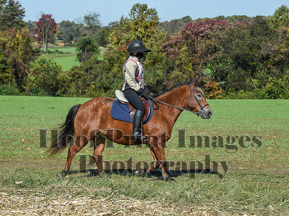 CheshirePC(10-18-20)0317