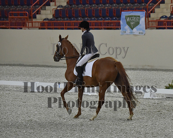 CWdressageII(8-21-16)0099