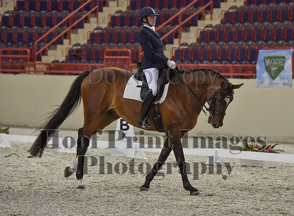 CWdressageI(8-20-16)1288