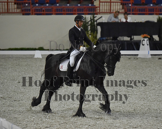 CWdressageII(8-21-16)0588