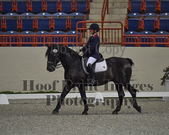 CWdressageII(8-21-16)0046