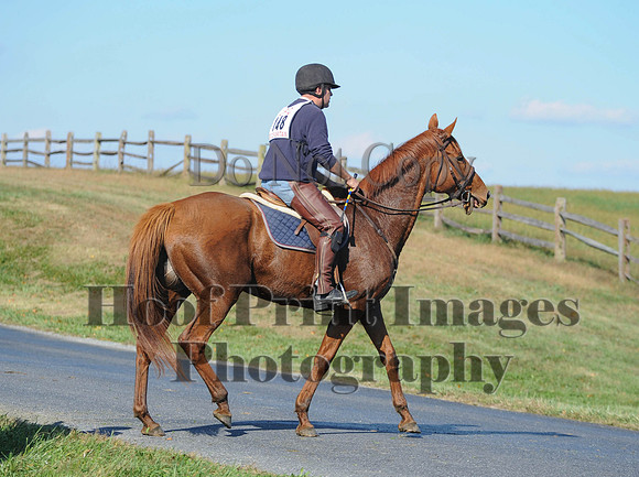 Cheshire(10-20-13)0530