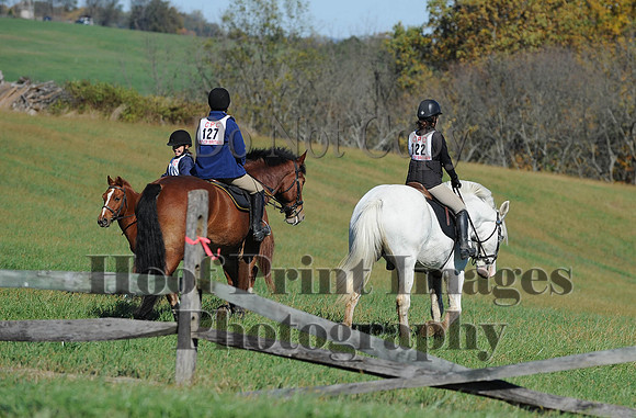 Cheshire(10-19-14)0172