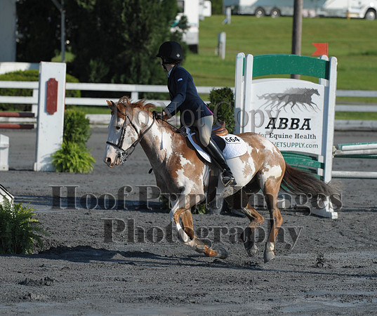 StCSu(5-12-13)PJmp0034