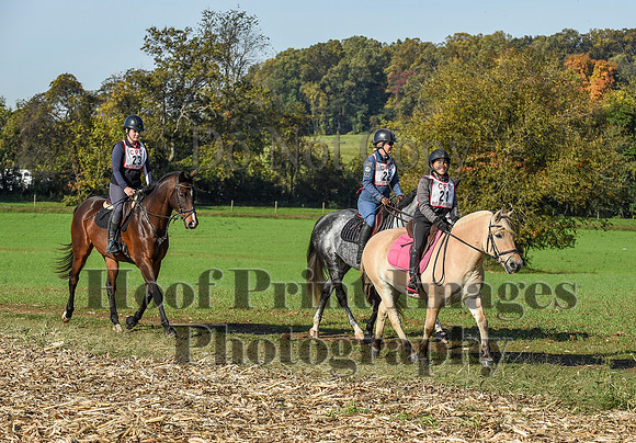 CheshirePC(10-18-20)0162