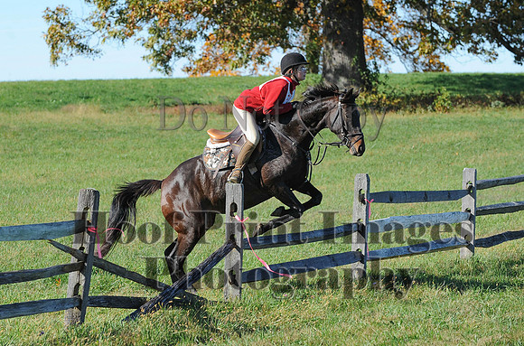 Cheshire(10-19-14)0493