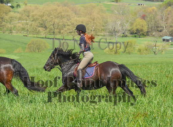 CheshireSpringPC1(4-28-24)0141