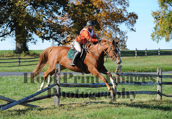 Cheshire(10-19-14)0336
