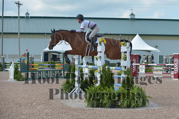 BRSa(5-17-14)HChAdJ0054