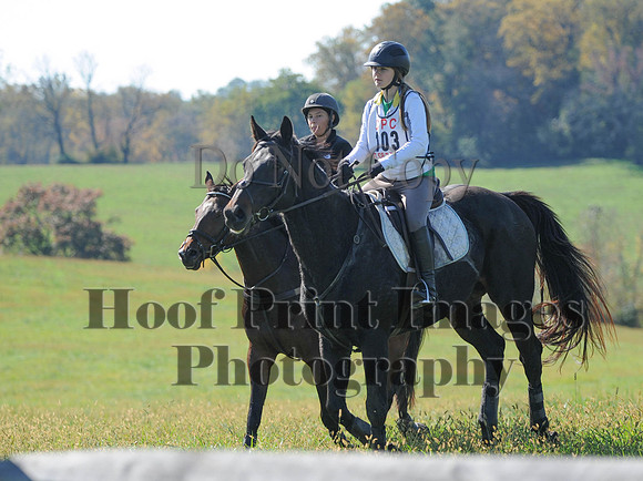 Cheshire(10-20-13)0079