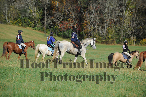 Cheshire(10-19-14)0362