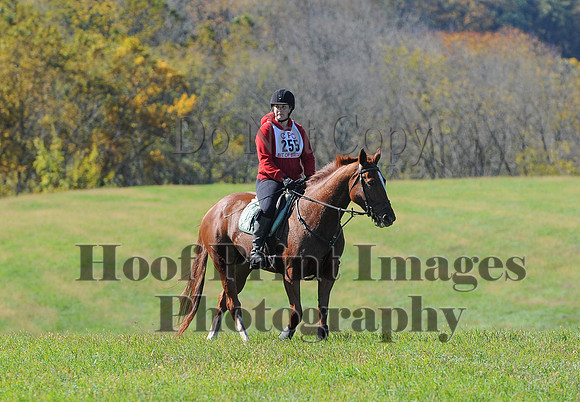 Cheshire(10-19-14)0109