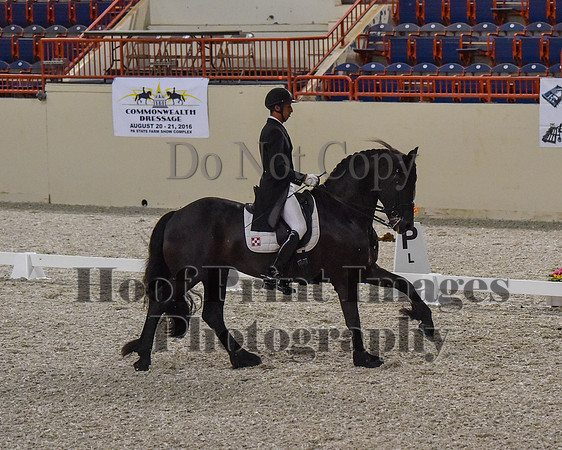 CWdressageII(8-21-16)0589