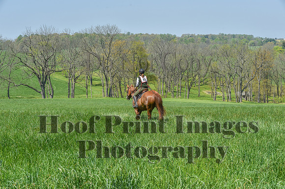 CheshireSpringPC1(4-28-24)0292