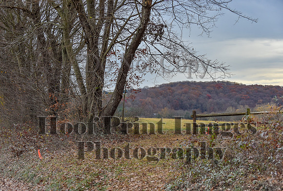 AndrewsBrHuntPace(11-10-24)0276
