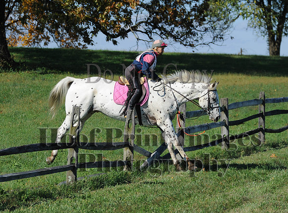 Cheshire(10-20-13)0424