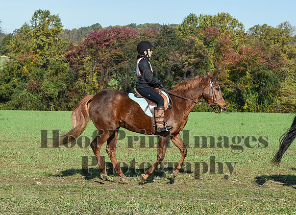 CheshirePC(10-18-20)0037