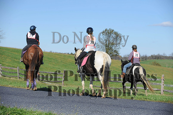 Cheshire(10-19-14)0274