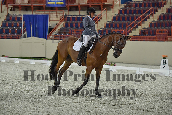 CWdressageI(8-20-16)0987