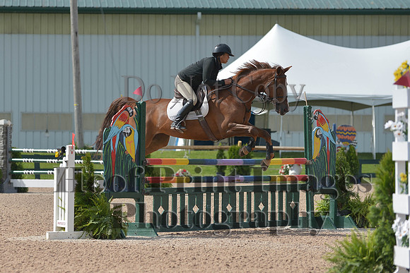 BRSa(5-17-14)HChAdJ0078