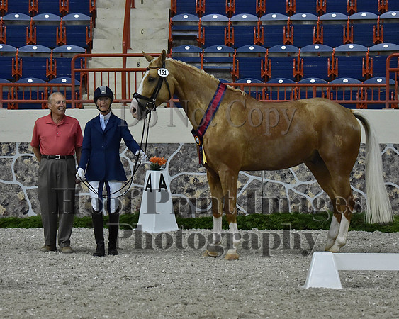 CWdressageII(8-21-16)1436