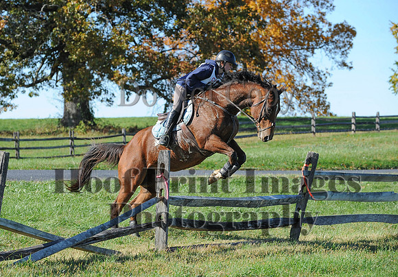 Cheshire(10-19-14)0352