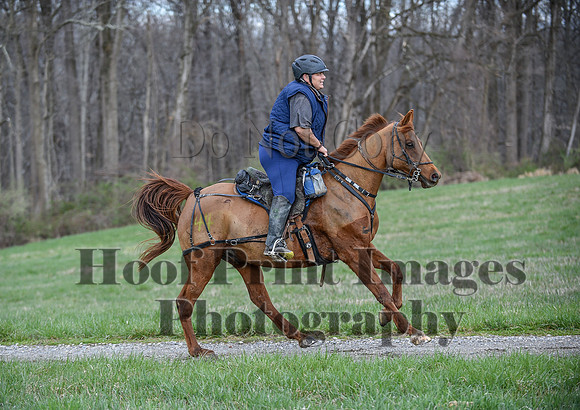 ChesapeakeSpring(4-10-22)0203