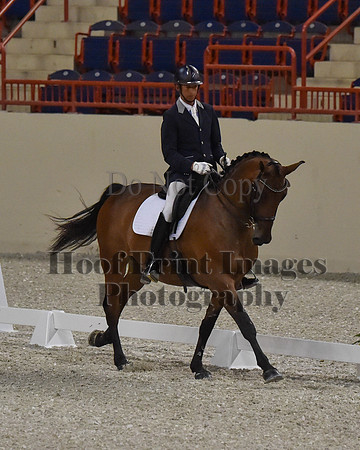 CWdressageII(8-21-16)1558