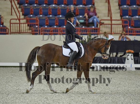 CWdressageI(8-20-16)0571